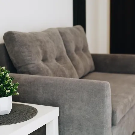 Pod Brzozami Wiejska Apartmán *