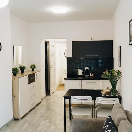 Pod Brzozami Wiejska *