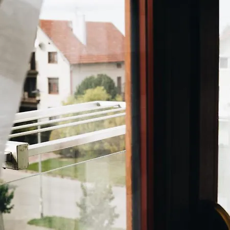 Pod Brzozami Wiejska