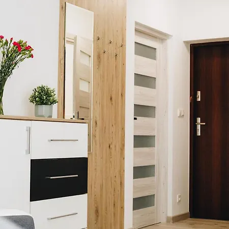 Pod Brzozami Wiejska Apartamento