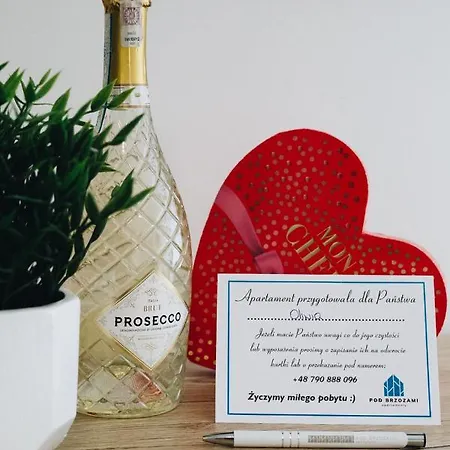 Appartamento Pod Brzozami Wiejska *