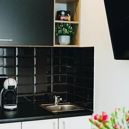 Pod Brzozami Wiejska Apartmán