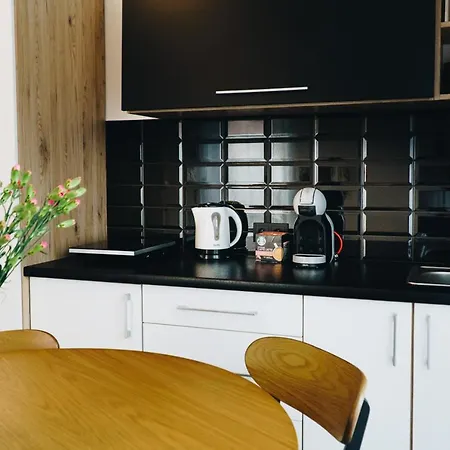 Pod Brzozami Wiejska Apartamento