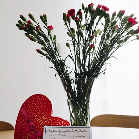 Appartamento Pod Brzozami Wiejska