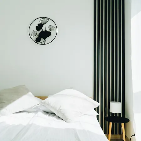 Pod Brzozami Wiejska * Ustronie Morskie