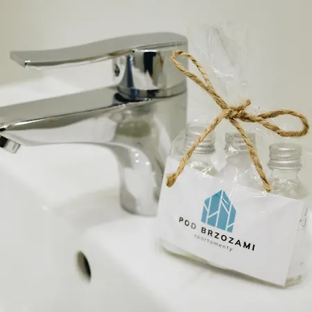 Pod Brzozami Wiejska Apartmán *