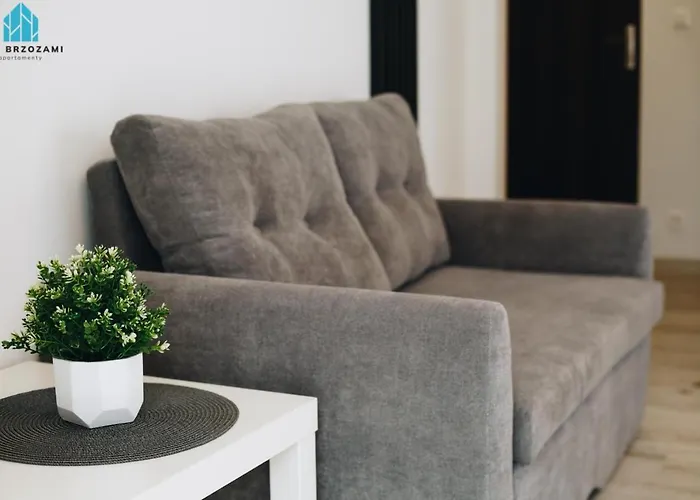 Pod Brzozami Wiejska Apartment *