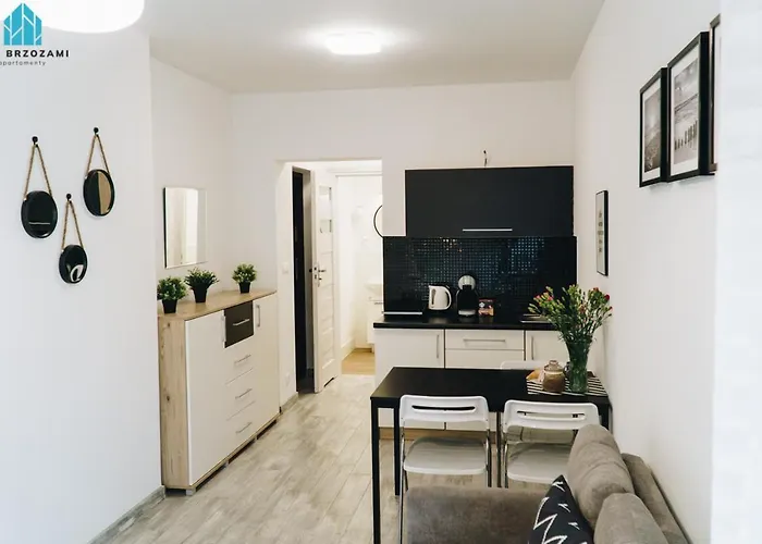 Pod Brzozami Wiejska *