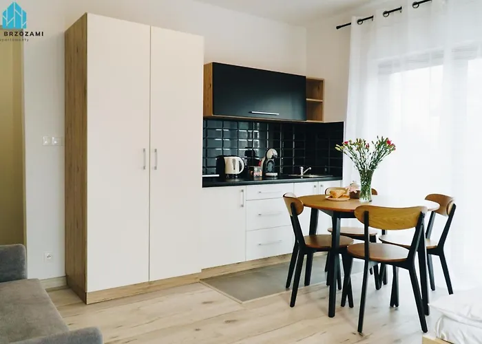 Pod Brzozami Wiejska * Ustronie Morskie